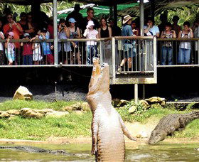 Knuckey Lagoon NT Northern Rivers Accommodation