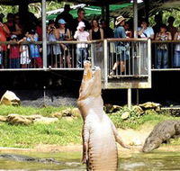 Crocodylus Park - Northern Rivers Accommodation