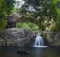Paluma and Crystal Creek Rainforest - Northern Rivers Accommodation