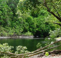 Broadwater Abergowrie State Forest - Northern Rivers Accommodation