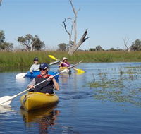 Marsh Meanders - Northern Rivers Accommodation