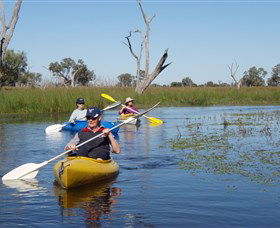 Marsh Meanders - Northern Rivers Accommodation 0