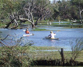 Marsh Meanders - Northern Rivers Accommodation 2