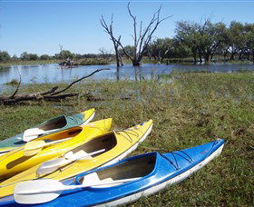 Marsh Meanders - Northern Rivers Accommodation 1