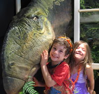 Australian Opal Centre - Northern Rivers Accommodation