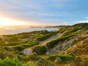 Beachport Conservation Park - Northern Rivers Accommodation 0