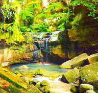 Carnarvon Gorge Carnarvon National Park - Northern Rivers Accommodation