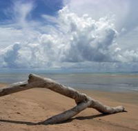 Toolakea Beach - Northern Rivers Accommodation
