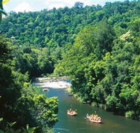 Tully Gorge National Park - Northern Rivers Accommodation
