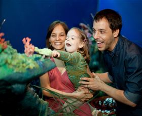 Museum Of Tropical Queensland - Northern Rivers Accommodation 2