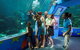 Reef HQ Aquarium - thumb 2