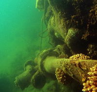 Wreck Diving at Magnetic Island - Northern Rivers Accommodation