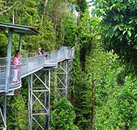 Mamu Tropical Skywalk - Northern Rivers Accommodation