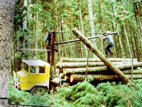 Nangwarry Forestry And Logging Museum - Northern Rivers Accommodation 3