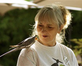 Barraport ACT Northern Rivers Accommodation