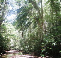 Mount Lewis National Park - Northern Rivers Accommodation