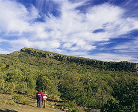 Black Range State Park - Northern Rivers Accommodation 0