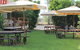 Francis Hotel Thallon - thumb 1