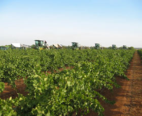 Warburn Estate - Northern Rivers Accommodation 1