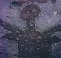 Quinkan Reserves Ancient Rock Art - Northern Rivers Accommodation