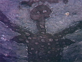 Quinkan Reserves Ancient Rock Art - Northern Rivers Accommodation 0