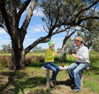 Restdown Wines and Walking Trail - Northern Rivers Accommodation