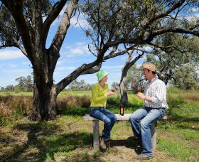 Restdown Wines And Walking Trail - Northern Rivers Accommodation 0