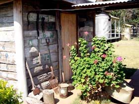 Nebo Museum - Northern Rivers Accommodation 3