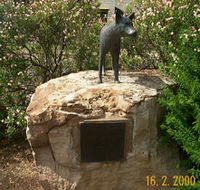 Dingo Statue - Northern Rivers Accommodation