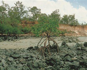 Garig Gunak Barlu National Park - Northern Rivers Accommodation 3