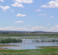 Fivebough Wetlands - Northern Rivers Accommodation