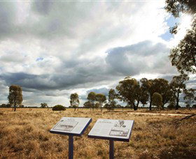Backroads Trail - Northern Rivers Accommodation 2