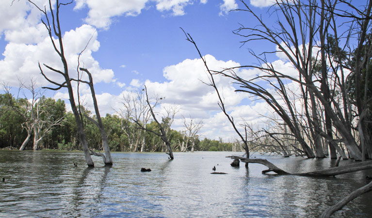 Euroley NSW Northern Rivers Accommodation