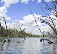 Murrumbidgee Valley National Park - Northern Rivers Accommodation