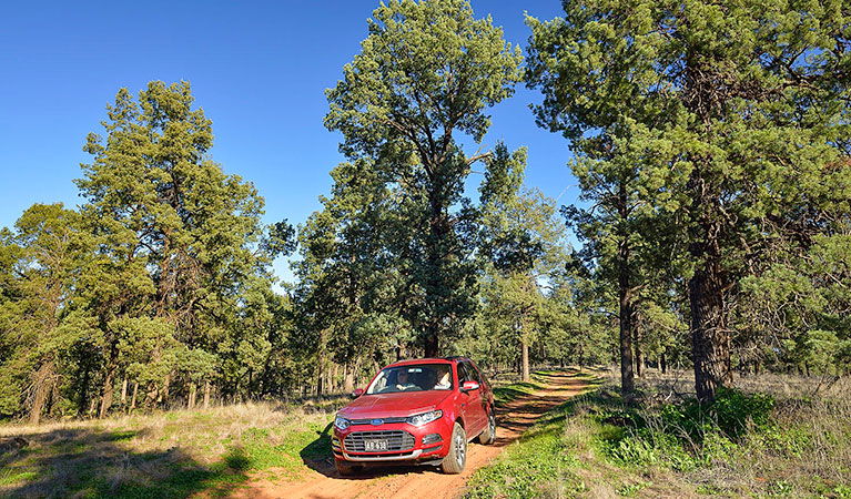 Narrandera NSW Northern Rivers Accommodation