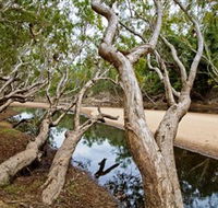 Oyala Thumotang National Park CYPAL - Northern Rivers Accommodation