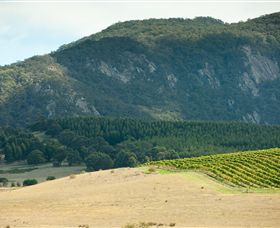 Langi Ghiran State Park - Northern Rivers Accommodation 0