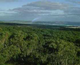 Mount Richmond National Park - Northern Rivers Accommodation 0