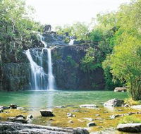 Cedar Creek Falls - Northern Rivers Accommodation