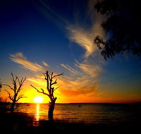 Lake Cowal - Northern Rivers Accommodation
