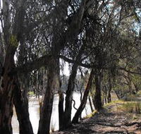 Mia Forest Drives Narrandera - Northern Rivers Accommodation