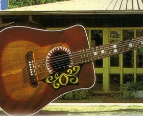 Big Guitar - Northern Rivers Accommodation 0