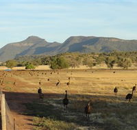 Emu Logic - Northern Rivers Accommodation