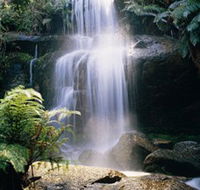 Mount Buangor State Park - Northern Rivers Accommodation