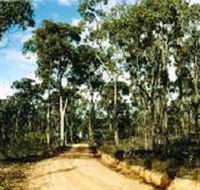 Paddys Ranges State Park - Northern Rivers Accommodation