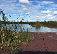 Gwydir Wetlands - Northern Rivers Accommodation