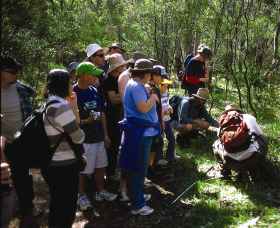 Warrumbungle National Park Discovery Program - Northern Rivers Accommodation 0
