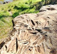 Terramungamine Rock Grooves - Northern Rivers Accommodation