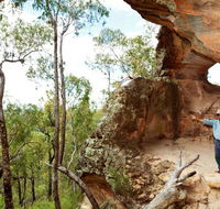 Pilliga National Park - Northern Rivers Accommodation