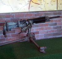 Woodpecker Gun - Northern Rivers Accommodation